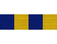 Navy ROTC Ribbon Unit: NJROTC Physical Fitness